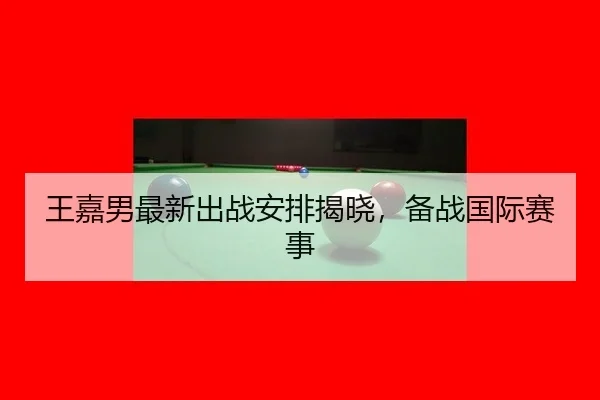 王嘉男最新出战安排揭晓，备战国际赛事